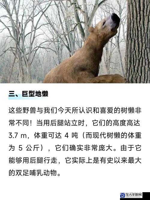 爆肝实测！冰河猛犸3天速成法_一招解锁顶级狂暴输出！md